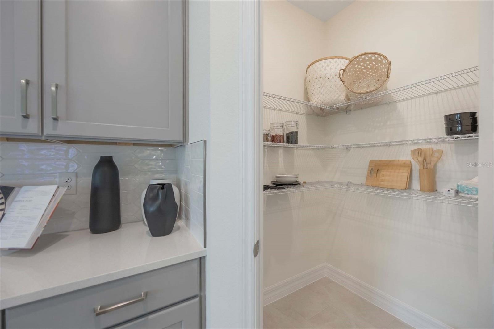 LAKES OF MOUNT DORA - Residential