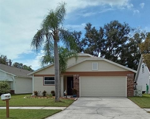 Photo of 11204 Elmfield Drive, Tampa, FL 33625 (MLS # W7879728)
