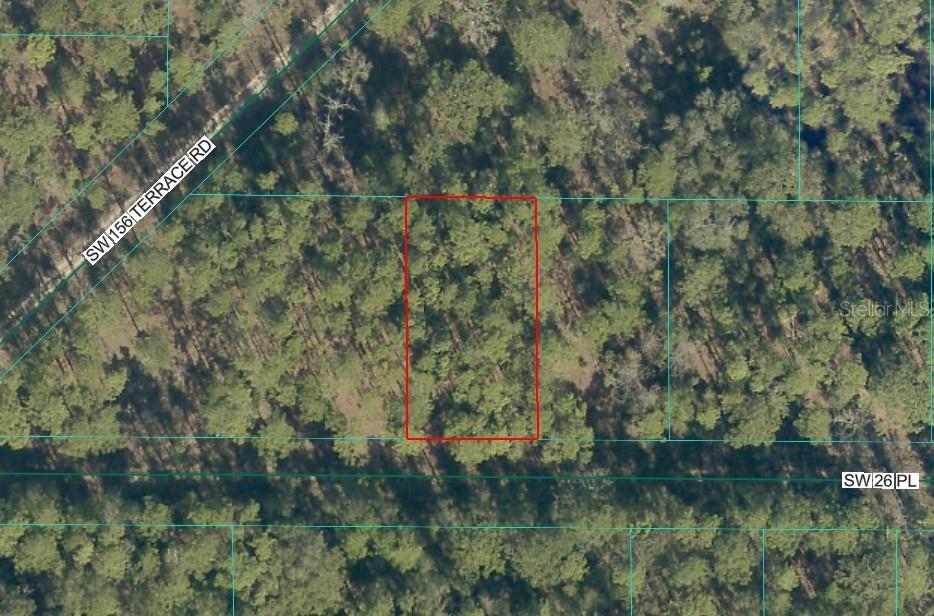 Photo of 14 SW 144th Ave Road, Ocala, FL 34481 (MLS # OM732814)