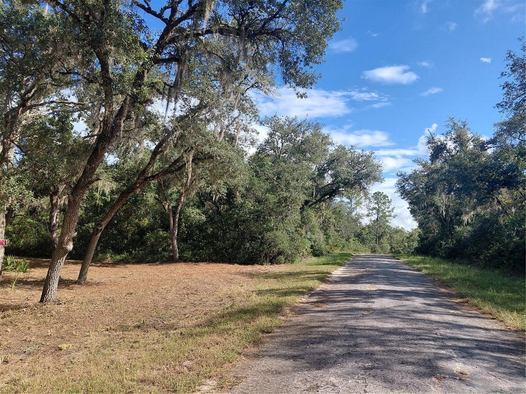 Photo of Grindstone Drive, Webster, FL 33597 (MLS # G5118018)