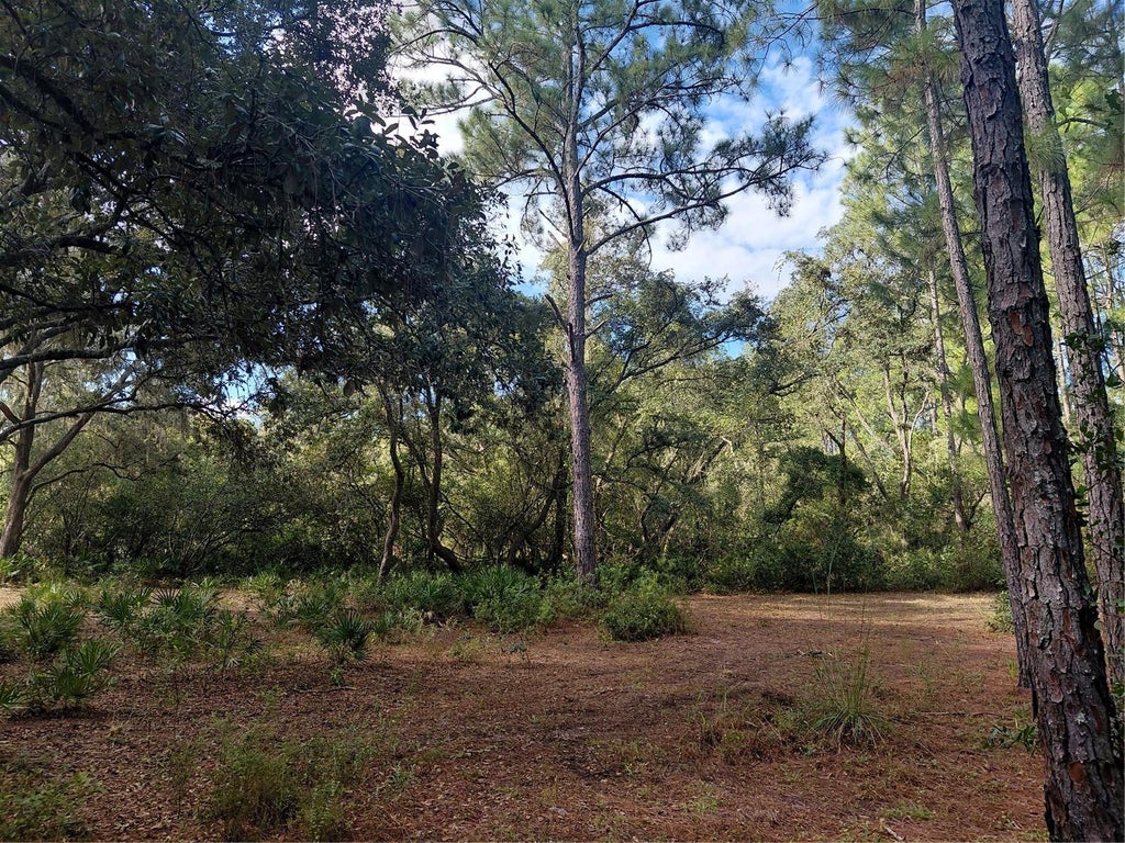 Photo of Grindstone Drive, Webster, FL 33597 (MLS # G5118018)