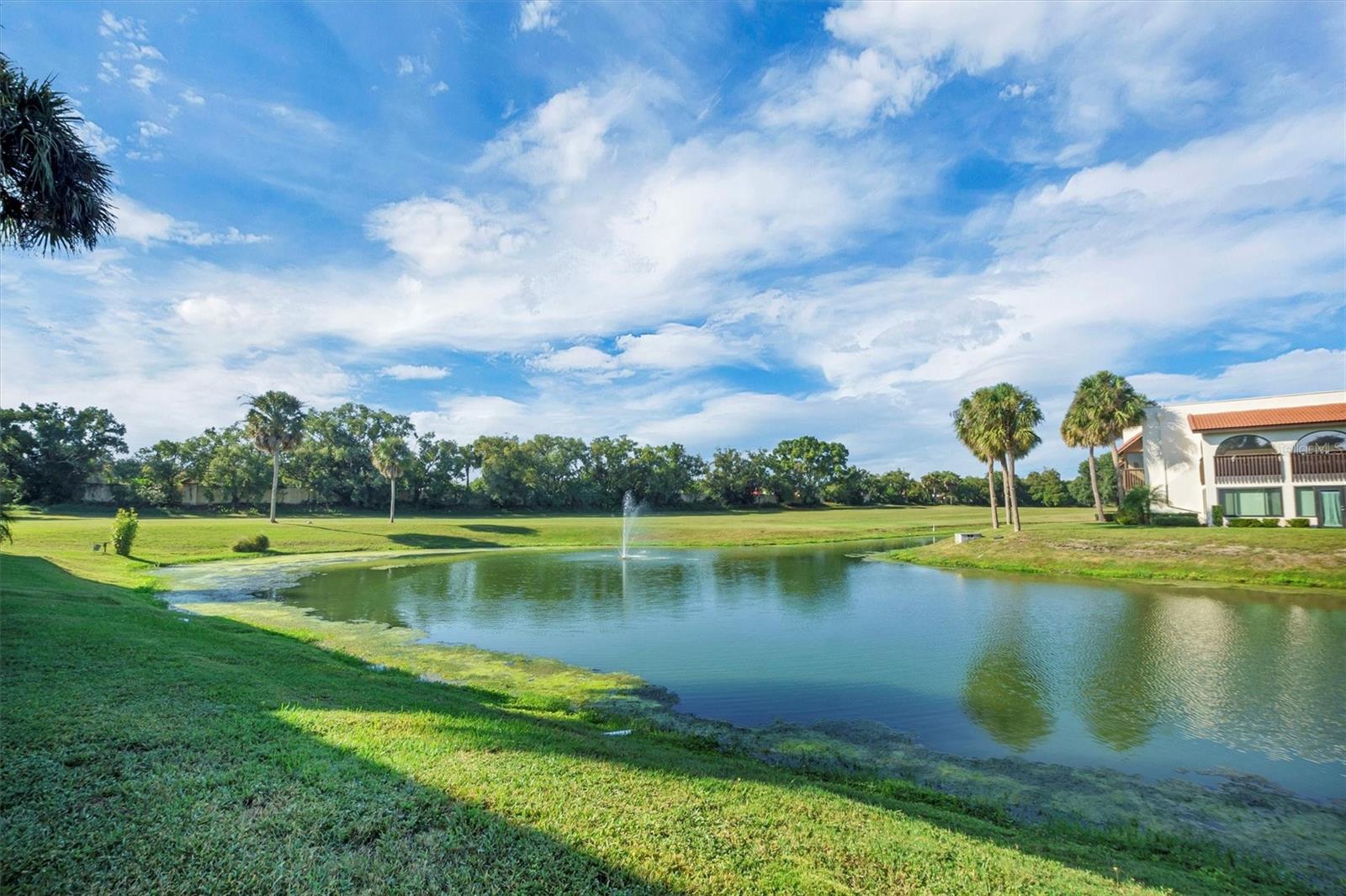 COUNTRY CLUB VILLAGE CONDO - Residential