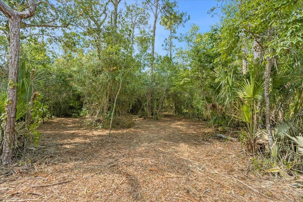 Photo of Mar Lisa Cove Road, Lake Wales, FL 33898 (MLS # T3452817)