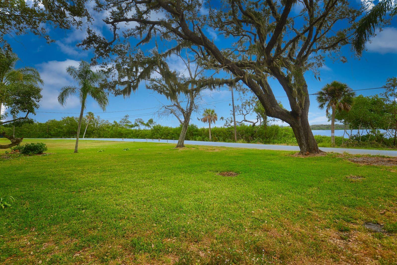 WILLOW WALK - Residential