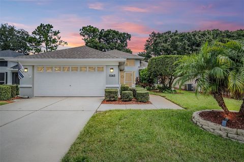 Photo of 1045 Trafalgar Drive, New Port Richey, FL 34655 (MLS # W7876918)