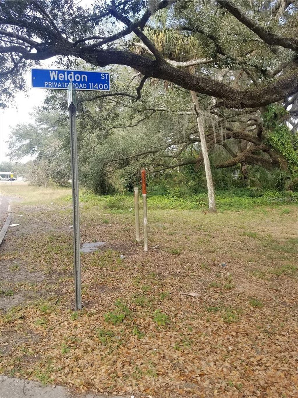 Photo of 11433 Weldon Street, Seffner, FL 33584 (MLS # TB8378579)