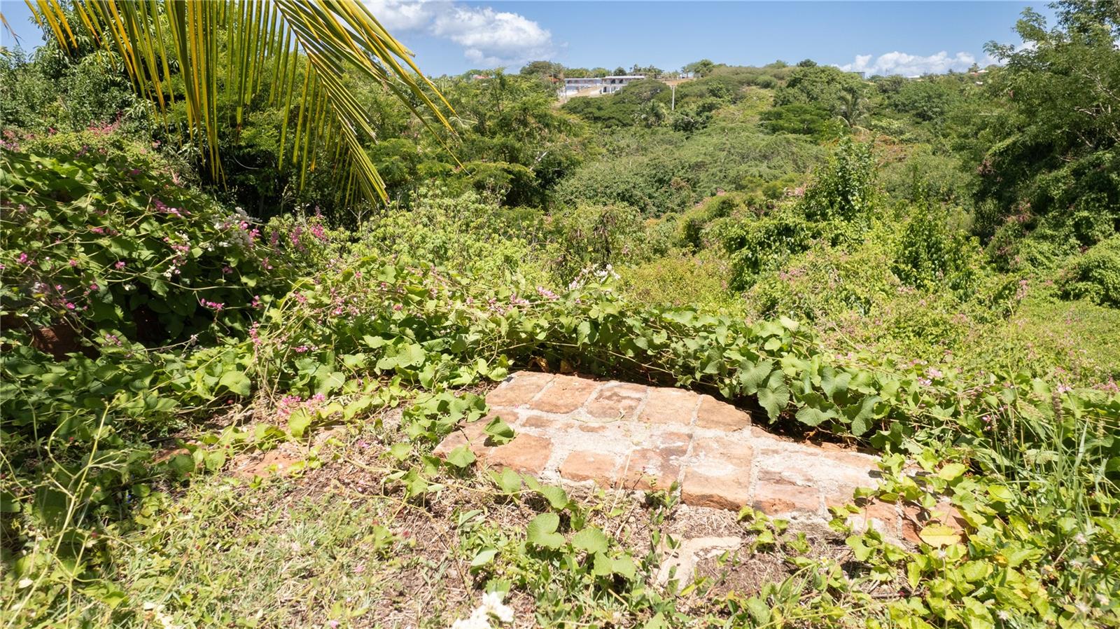 COMM SANTA MARÍA - Residential