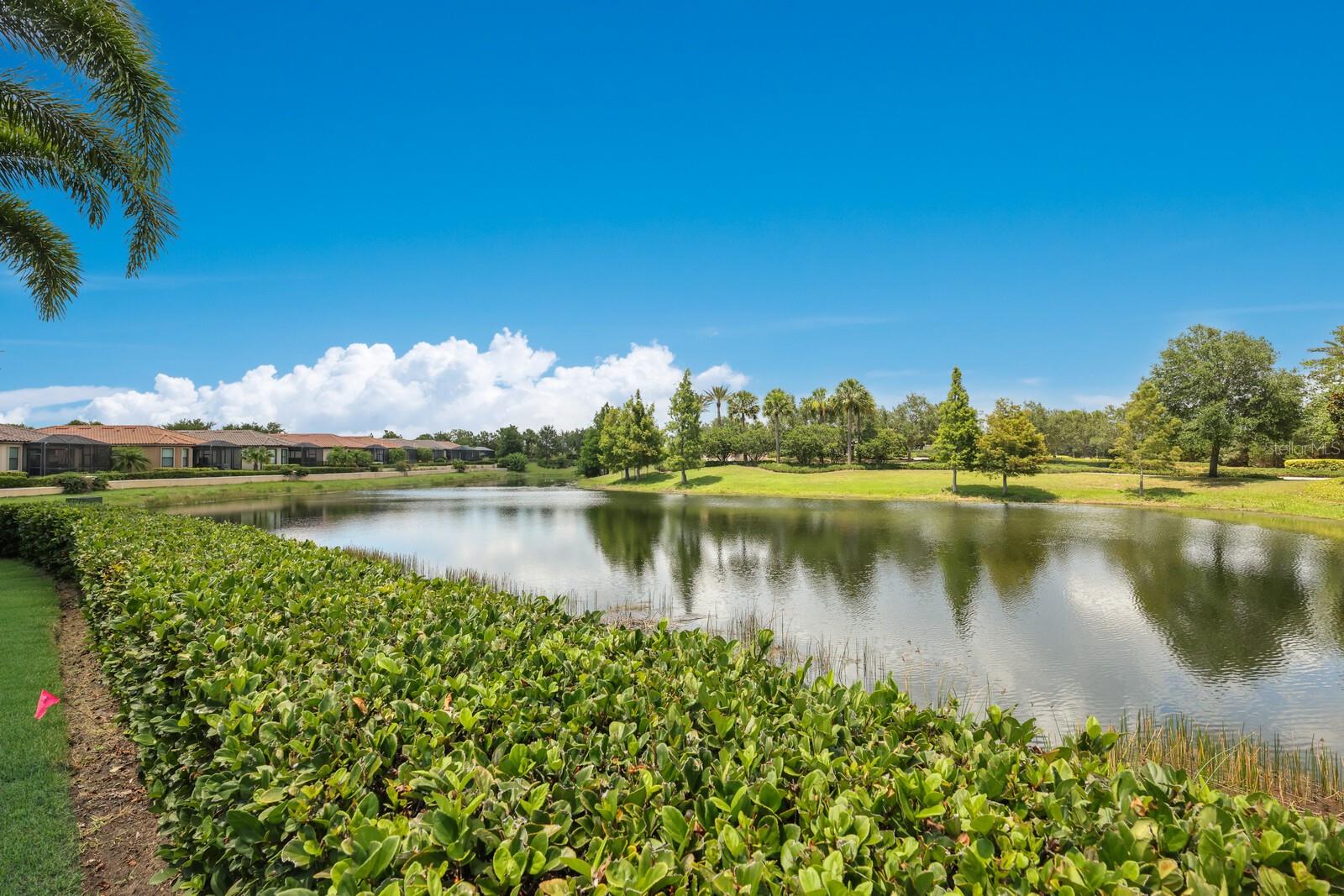 ESPLANADE - Residential Lease