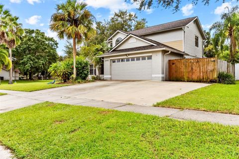 A home in RIVERVIEW