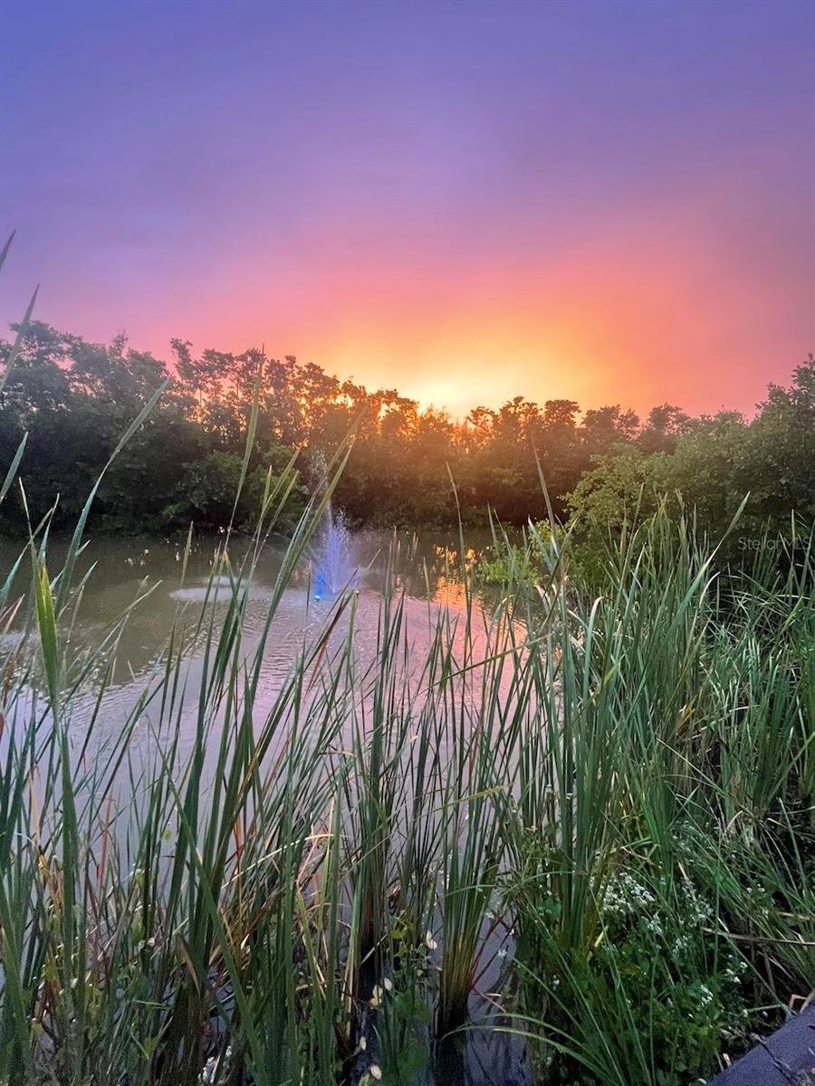 ALDEN PINES FIRST ADD - Residential