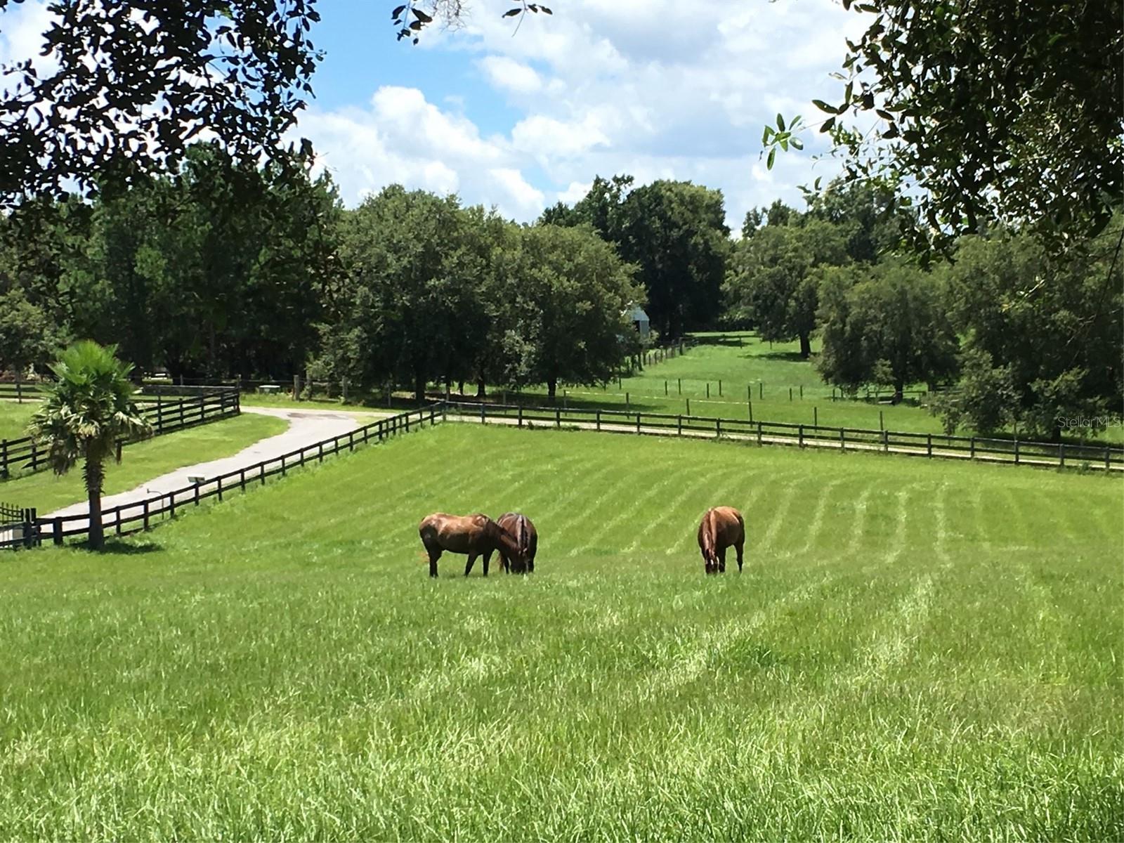 ASSESSORS DUPONT & GAUDRY GRANT LT 72-74 - Residential