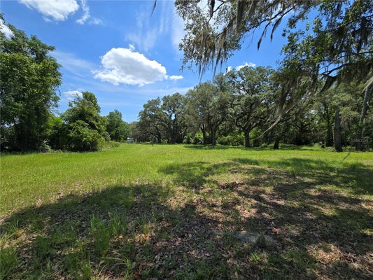 7563 SE COUNTY ROAD 405, BRANFORD, FL 32008 - Image 46afa5d78bb15ce40e32c3b05d03fa3f/447392003