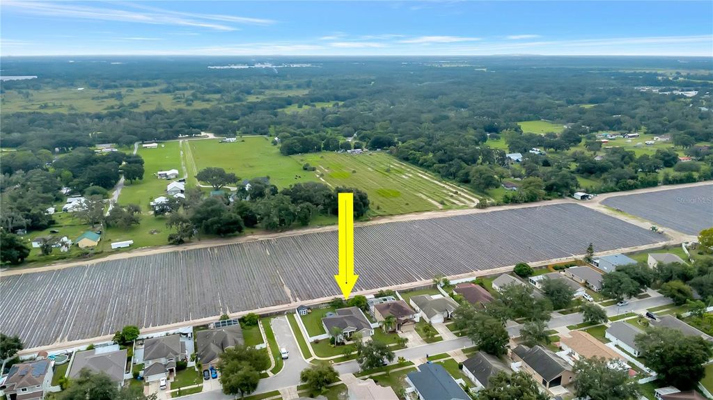 Photo of 3341 Pine Top Drive, Valrico, FL 33594 (MLS # TB8423886)