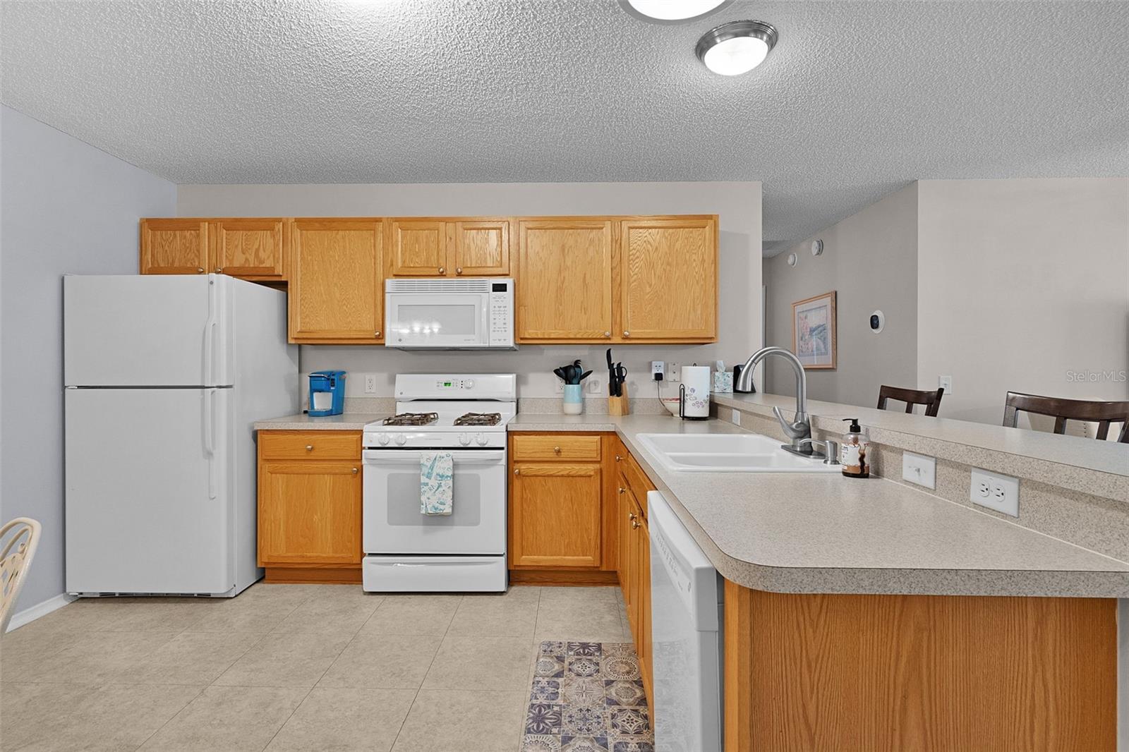 VILLAGES OF SUMTER HIALEAH VILLAS REP - Residential