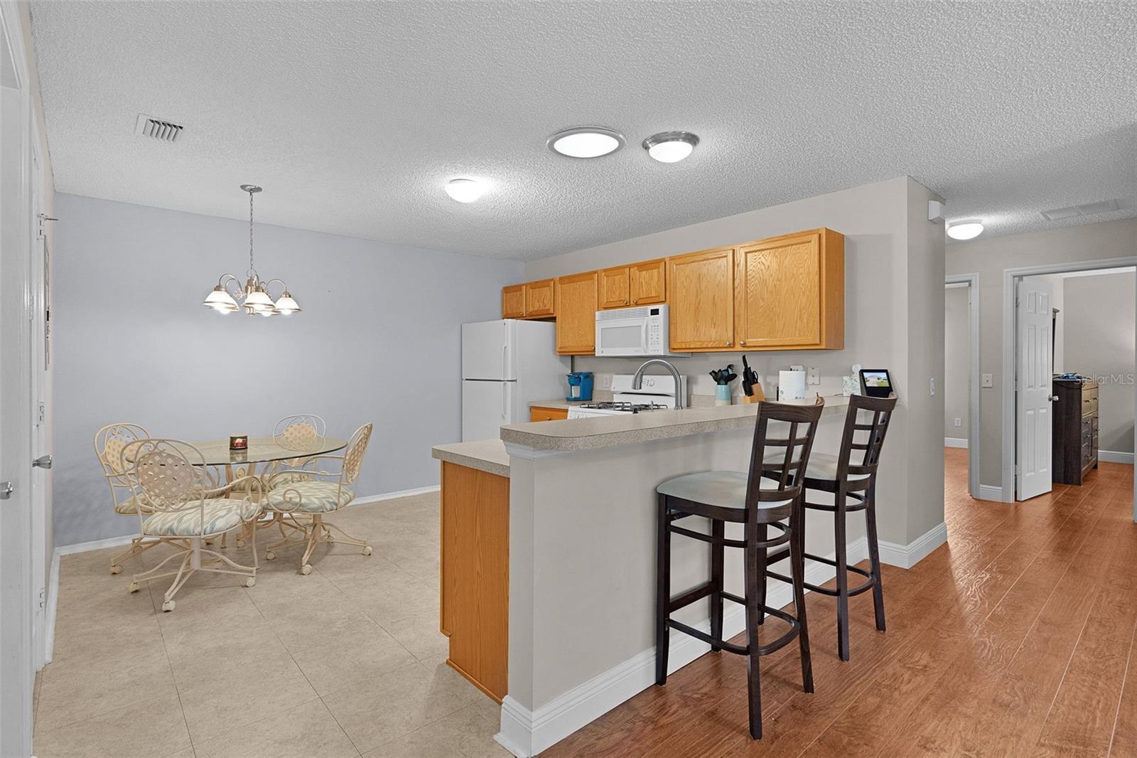 VILLAGES OF SUMTER HIALEAH VILLAS REP - Residential