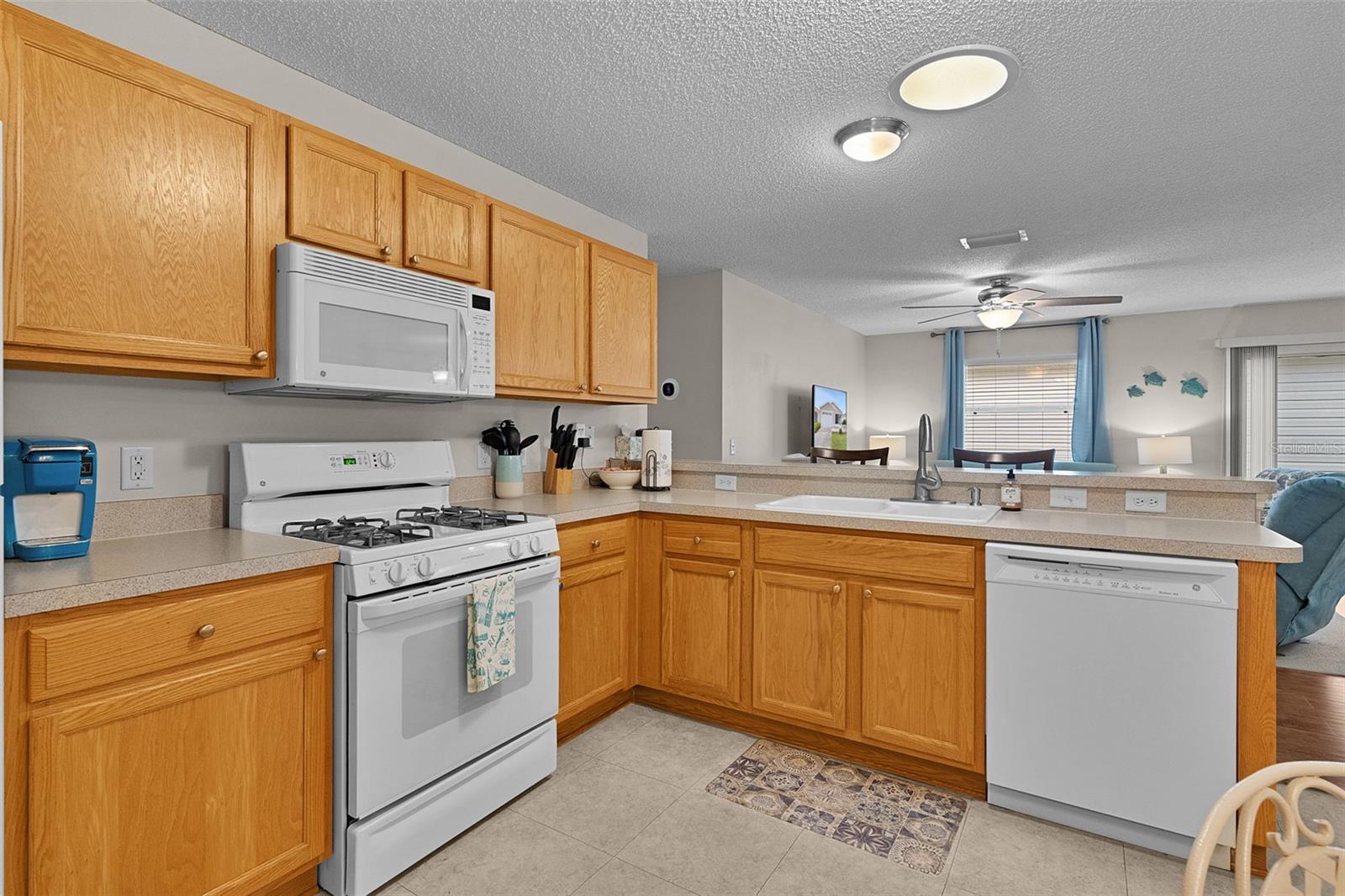 VILLAGES OF SUMTER HIALEAH VILLAS REP - Residential