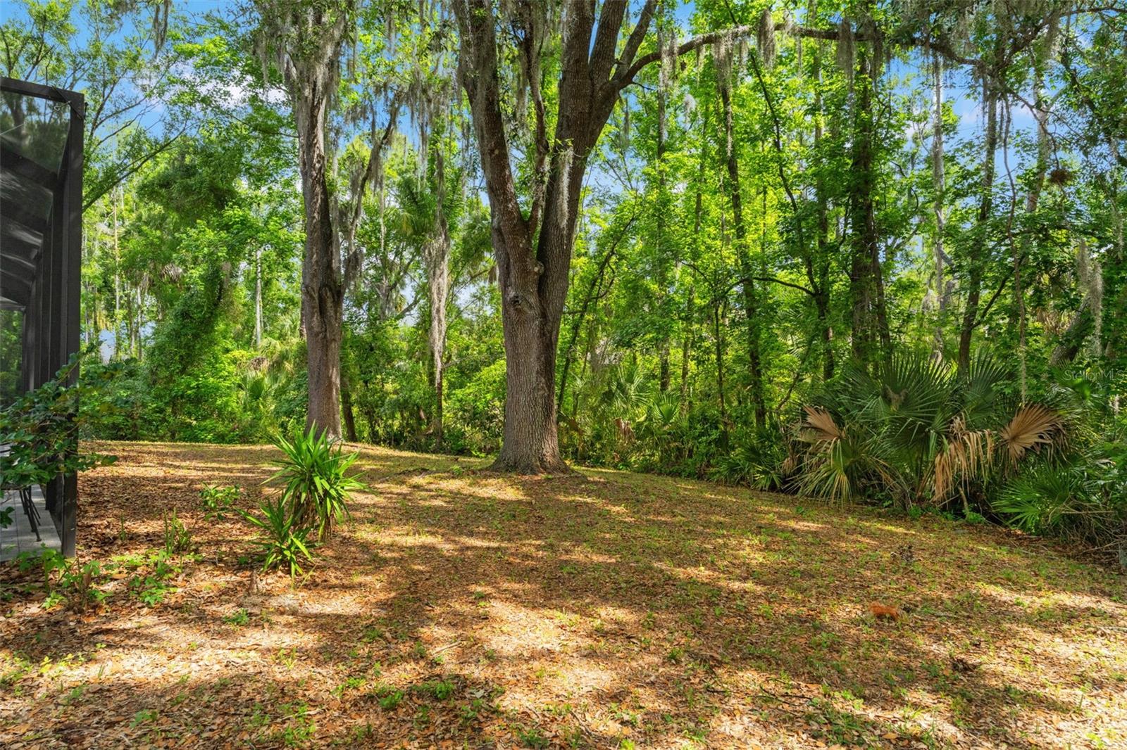 TAMPA PALMS 2C UNIT 1 - Residential