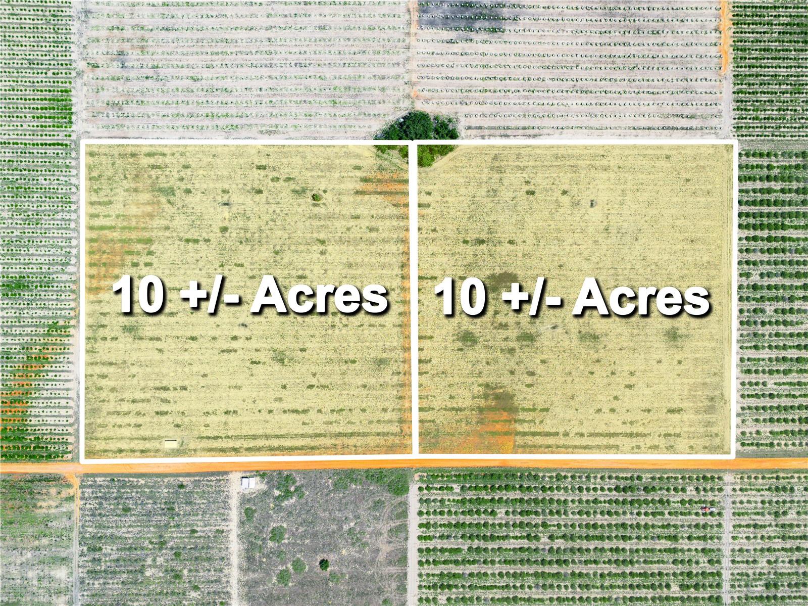 20 ACRES M/L WITH SCENIC VIEWS OF TWO BEAUTIFUL LAKES! THIS PROPERTY IS MADE UP OF TWO (2) PARCELS OF LAND BEING SOLD TOGETHER. BOTH OVERLOOK PRIVATE LAKE MOODY & LAKE PATRICK (ALSO LAKE LEONA). PROPERTY IS LOCATED ON A CLAY COUNTY ROAD. THERE IS SOME CITRUS AND SOME OTHER AGRICULTURAL USES IN THE AREA. THIS PROPERTY HAS BEEN CLEARED AND HAS A 6 INCH APPROXIMATELY 1000 FT DEEP WELL WITH A 6 INCH PUMP (FLOW SERVE PUMP) THAT HAS THE CAPACITY TO PUMP 400 GALLONS A MINUTE WITH RIGHT ANGLE GEAR DRIVE & 4 CYLINDER TURBO CHARGED JOHN DEER DIESEL ENGINE! THE PROPERTY HAS SOME AREAS OF HIGH ELEVATION WITH FANTASTIC VIEWS OVERLOOKING TWO BEAUTIFUL LAKES. THIS PROPERTY WAS USED AS CITRUS FARMING AND HAS RECENTLY BEEN CLEARED. IT IS GOOD FOR GROWING MANY DIFFERENT TYPES OF FRUITS SUCH AS PAPAYA, MANGO, SOUR SOP, STRAWBERRIES, WATERMELON AND OTHERS! THERE IS PLENTY OF WATER TO GROWN ANYTHING YOU WISH!