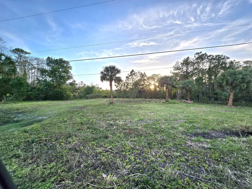 Owner willing to finance . Ask for more details. 
Welcome to New Smyrna Beach, Florida. A cozy, seaside town located on the central east coast of Florida with great beaches, restaurants, art, national parks and plenty of natural wildlife from dolphins to manatees and great fishing.
Build your dream home on this 2.50 acre parcel. No HOA. The property has a survey, wetlands delineation, culvert for your driveway, and the dirt pad foundation is in place to build your dream home on. Public Utilities and water hook up are available from NSB utilities company. The property has multiple palm trees. The neighborhood is small and has beautiful custom built surrounding homes on a private seashell road. The residents chip in to grade the road when needed. It's the best of both worlds country living but close to all right in New Smyrna Beach. There is another lot next to this that owner is selling if your looking for more land for horses, or smaller farm animals. 2.51 acres. It's income producing with to the left of this parcel.
All information is deemed to be correct but not guaranteed. Please do your own due diligence.