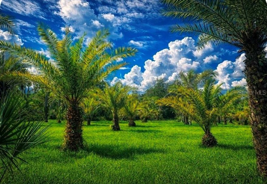 Owner willing to finance . Ask for more details. 
Welcome to New Smyrna Beach, Florida. A cozy, seaside town located on the central east coast of Florida with great beaches, restaurants, art, national parks and plenty of natural wildlife from dolphins to manatees and great fishing.
Build your dream home on this 2.50 acre parcel. No HOA. The property has a survey, wetlands delineation, culvert for your driveway, and the dirt pad foundation is in place to build your dream home on. Public Utilities and water hook up are available from NSB utilities company. The property has multiple palm trees. The neighborhood is small and has beautiful custom built surrounding homes on a private seashell road. The residents chip in to grade the road when needed. It's the best of both worlds country living but close to all right in New Smyrna Beach. There is another lot next to this that owner is selling if your looking for more land for horses, or smaller farm animals. 2.51 acres. It's income producing with to the left of this parcel.
All information is deemed to be correct but not guaranteed. Please do your own due diligence.