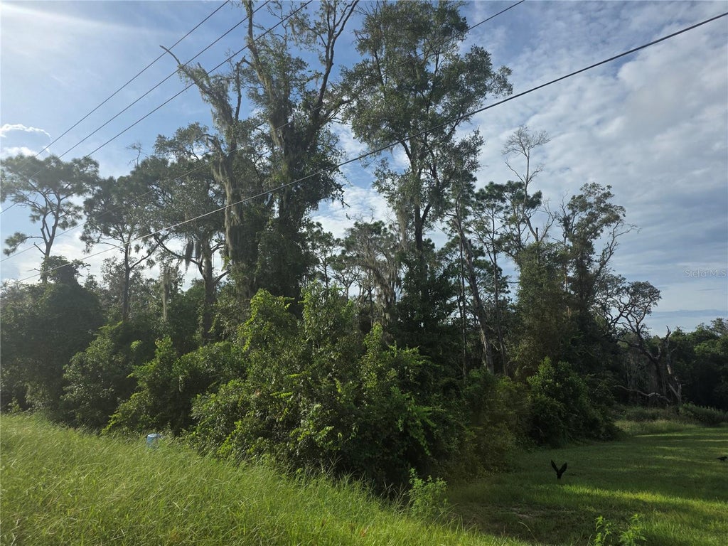 Photo of 158 Cortez Blvd., Dade City, FL 33523 (MLS # TB8548440)