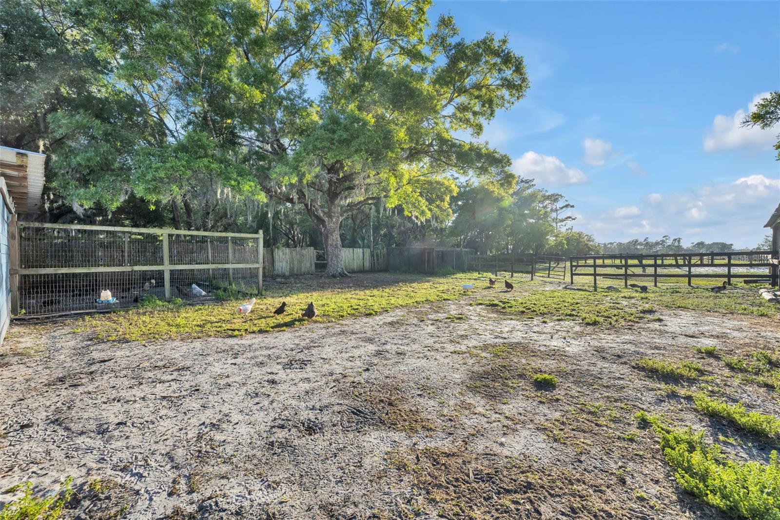 OSCEOLA ACRES 5 ACRE DEV - Residential