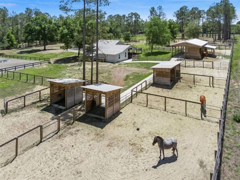 Tiny photo for 20701 County Road 44a, Eustis, FL 32736 (MLS # O6401282)