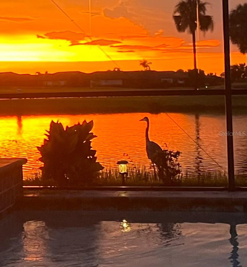 SARASOTA NATIONAL - Residential