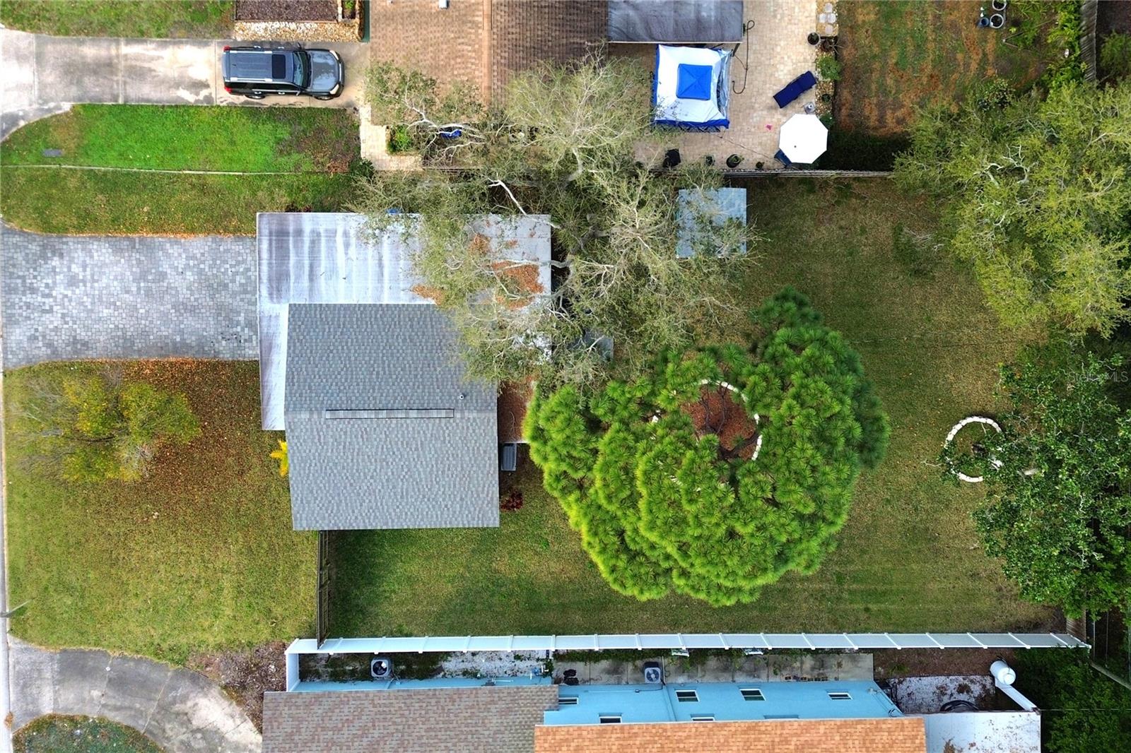 JUNGLE TERRACE SEC B - Residential