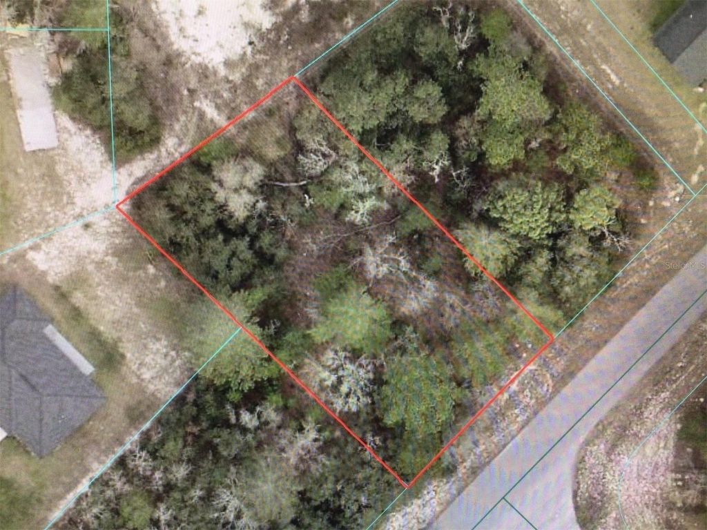 Photo of SW 55 Avenue Road, Ocala, FL 34473 (MLS # OM718482)