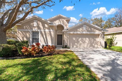 Photo of 3021 Gem Luster Court, Valrico, FL 33594 (MLS # TB8356557)