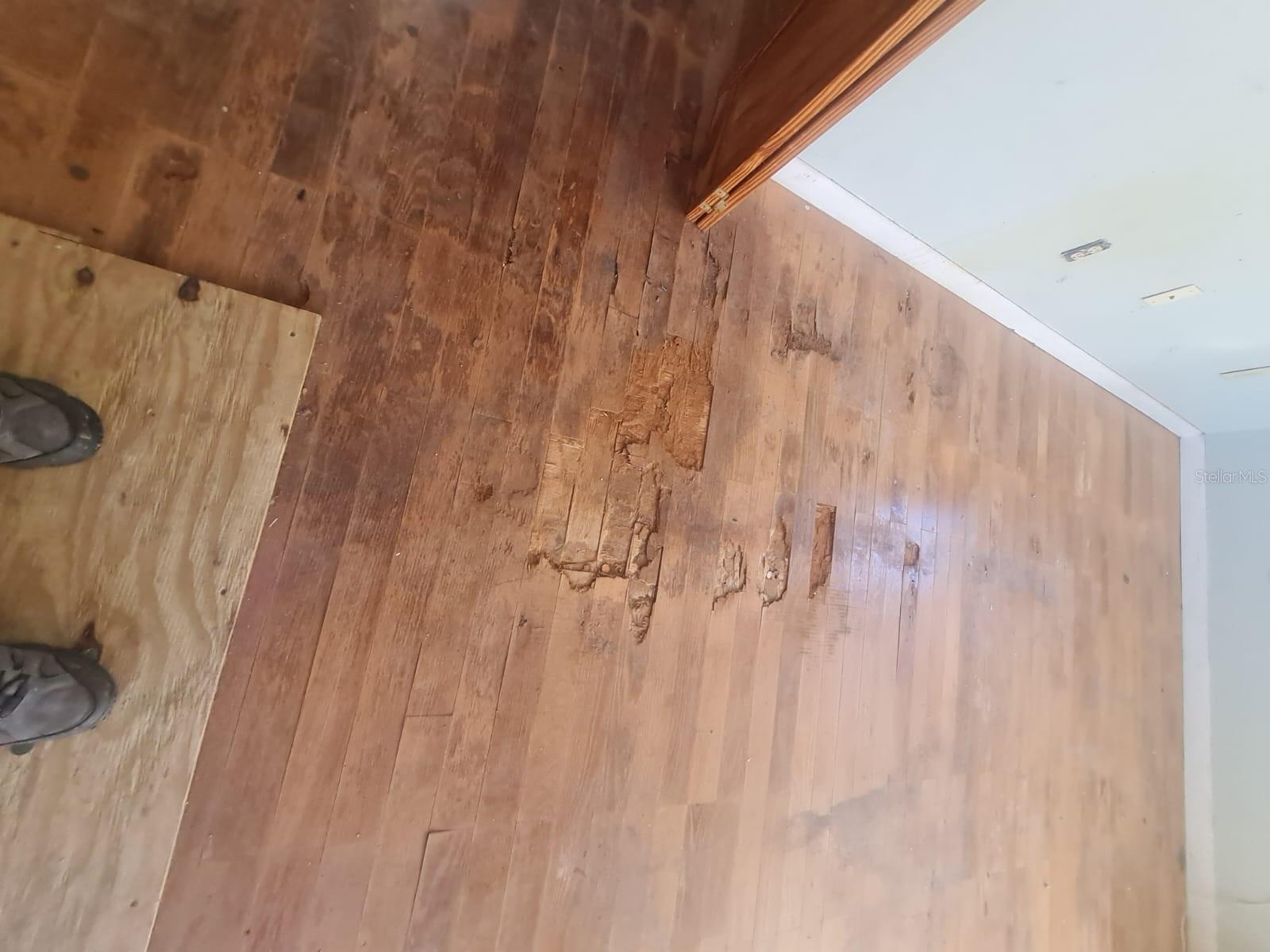 PINE KNOLL - Residential