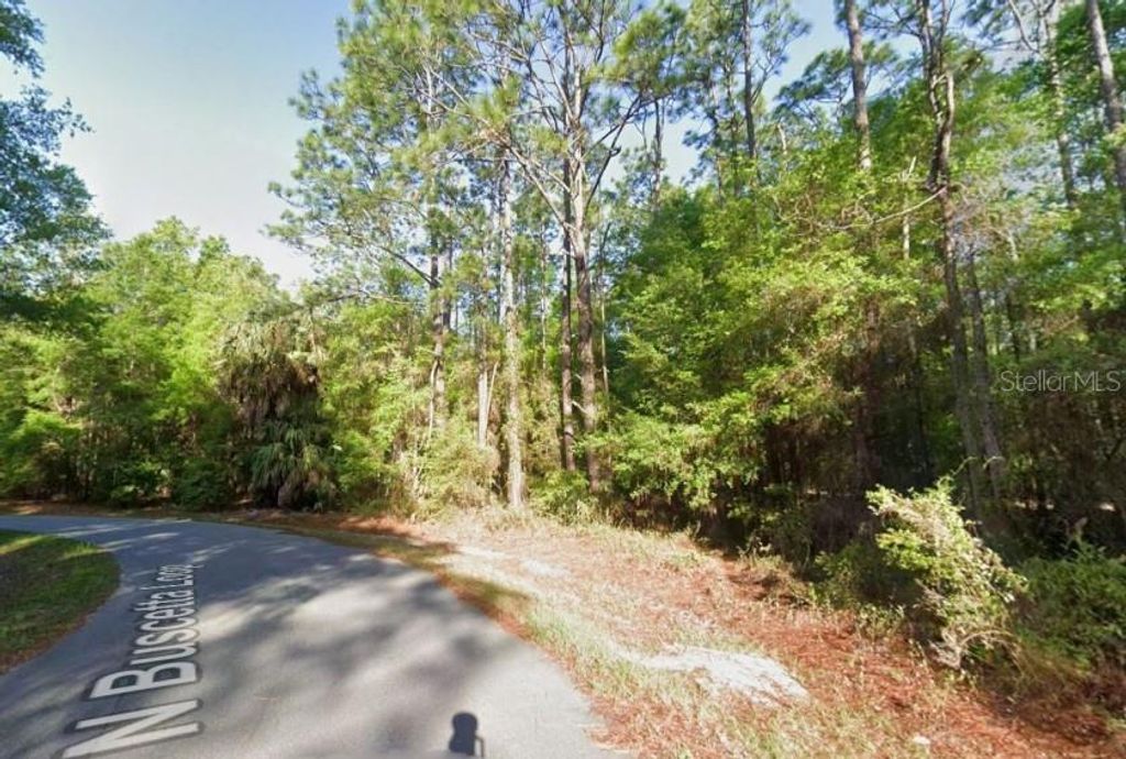 Photo of 8754 N Buscetta Loop, Crystal River, FL 34428 (MLS # TB8504065)