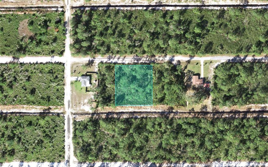 Huge 1 acre lot on a well developed block. With the two houses nearby; electric is already there unlike most of the blocks you may find other 1 acre lots.  Welcome to Indian Lake Estates, a golfing, fishing and boating community in the center of Florida. This lot is on a paved road that is better quality than many of the dirt/lime rock roads in the subdivision! This is actually 2 half acre lots combined into one parcel. You may split it back into two parcels and build two homes, or build on one and keep the other for investment. NOT in the flood zone. GPS Coordinates to center of property: 27.816385, -81.361215. Enter coordinates into google or apple maps for directions. If you want to enjoy Florida living at its best, this is where you want to invest! Indian Lake Estates is about 20 miles east of Lake Wales. The community surrounds the 7,500 acre lake locally known as Lake Walk In Water, nationally known for its fishing and considered to be one of the best bass fishing lakes in all Florida. The lake has a beach, boat ramp, boat marina and the longest freshwater Fishing pier in the State of Florida. The pavilion is located at the front of the pier and is complete with propane grills and covered picnic tables. The community amenities include an 18-hole golf course, basketball and tennis courts, 23,000 sq.ft. clubhouse, cafe, post office, churches, library, fitness room and pro shop. If you love nature and the peace and quiet of the country you're in luck. Wildlife is plentiful! You will see deer, raccoon, turkey, turtles, cranes and various species of birds that call Indian Lake Estates their home. Orlando and Disney is only about an hour's drive north and Tampa, Busch Gardens, and the Gulf's pristine beaches only a little over an hour west. Live the country life, experience the tranquility, but never be more than an hour away from it all. Website for the community is indianlakeestatesinc.com, HOA is around $31/month  ($375.31/year), buyer to confirm exactly.