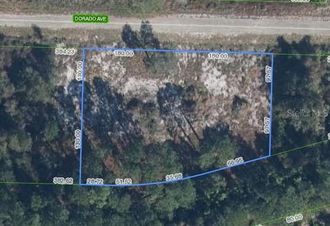 3348 DORADO AVENUE LAKE PLACID FL 33852