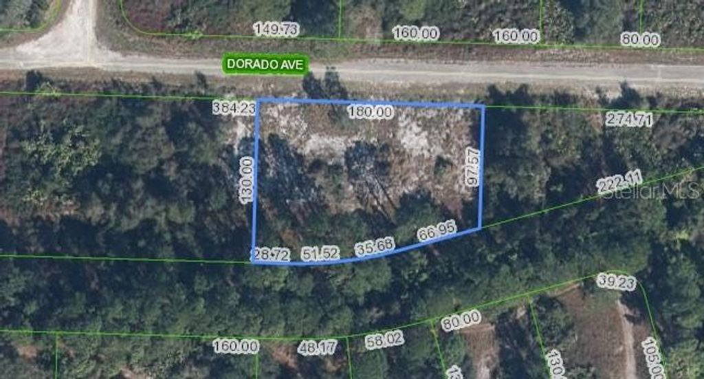 Photo of 3348 Dorado Avenue, Lake Placid, FL 33852 (MLS # P4937293)