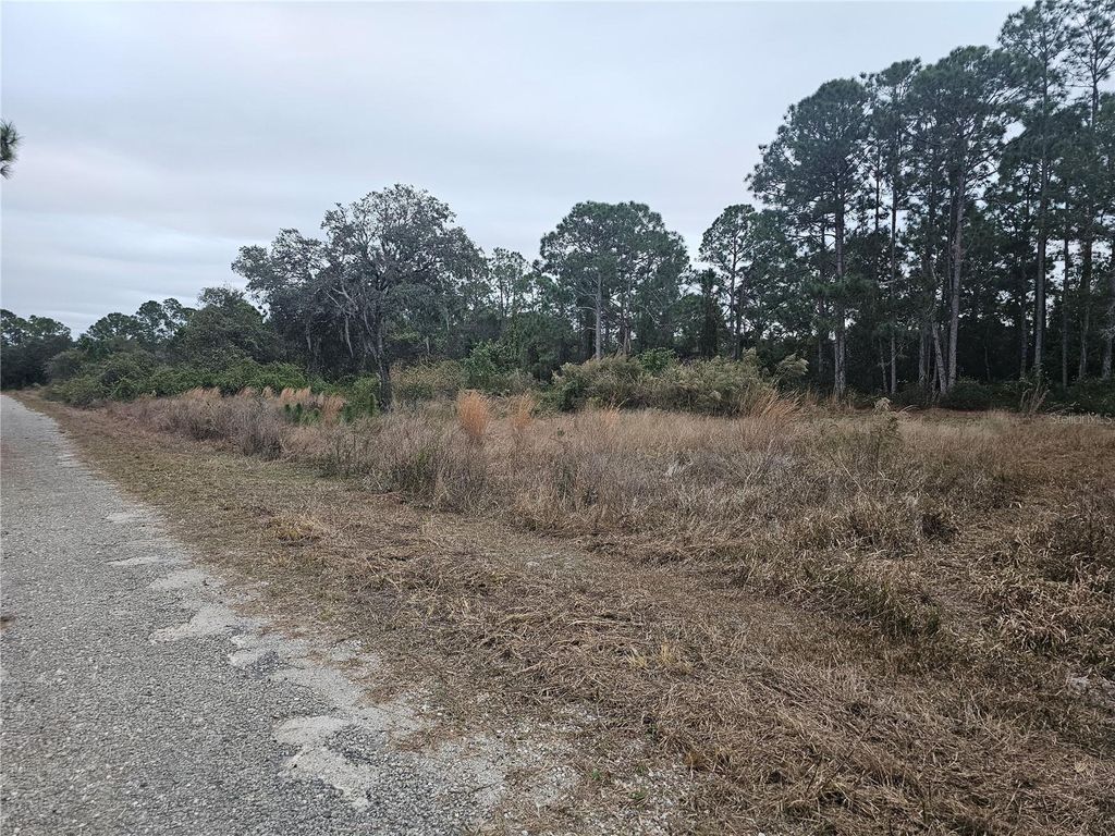 Photo of 3348 Dorado Avenue, Lake Placid, FL 33852 (MLS # P4937293)