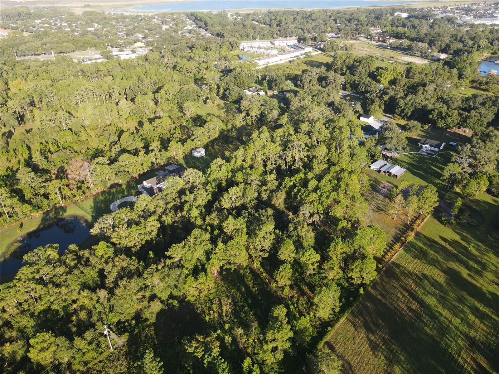 NARCOOSSEE NEW MAP OF - Land