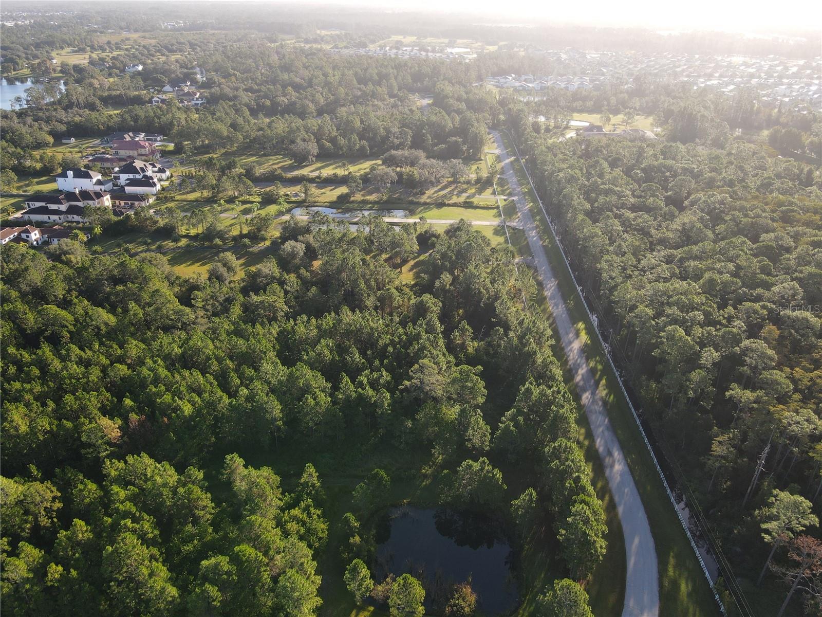 NARCOOSSEE NEW MAP OF - Land