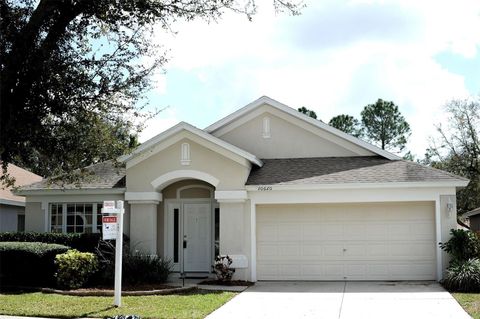 Photo of 10620 Egret Haven Lane, Riverview, FL 33578 (MLS # TB8485108)