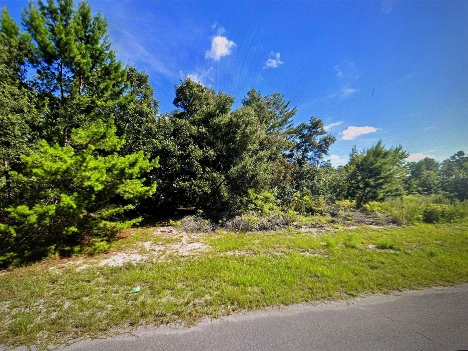 MARION OAKS UN 06 - Land