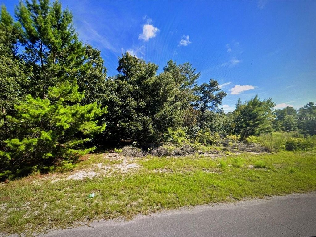 Photo of SW 41st Court, Ocala, FL 34473 (MLS # G5110158)