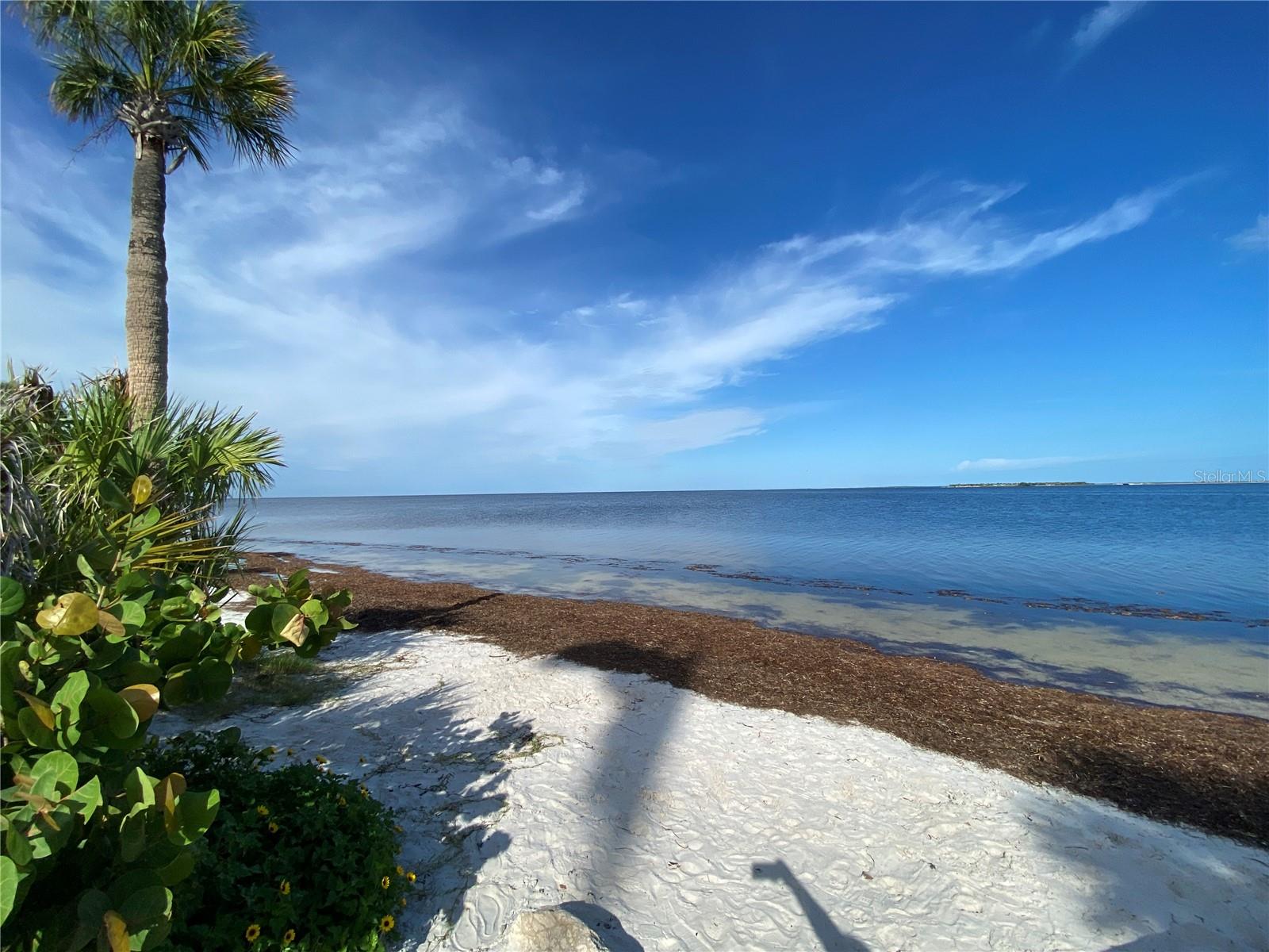 CEDAR POINTE CONDO PH 02 - Residential Lease