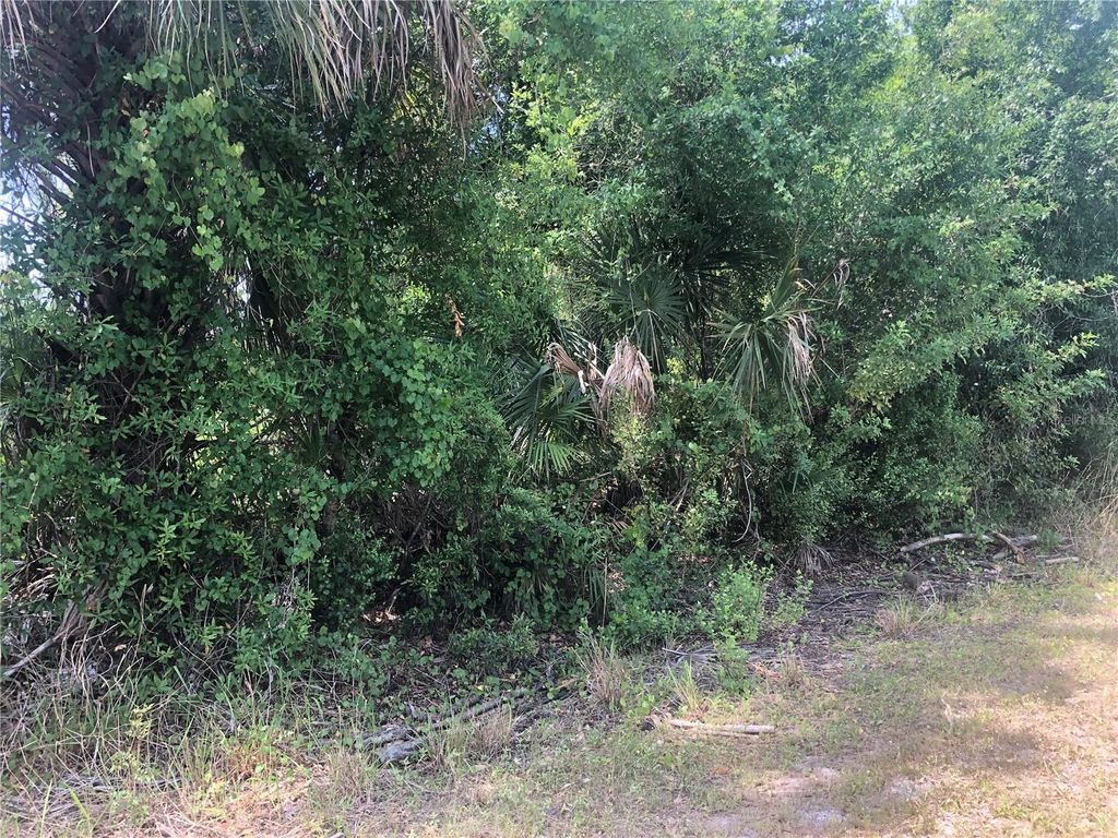 Photo of Dandurand Avenue, North Port, FL 34291 (MLS # C7525681)