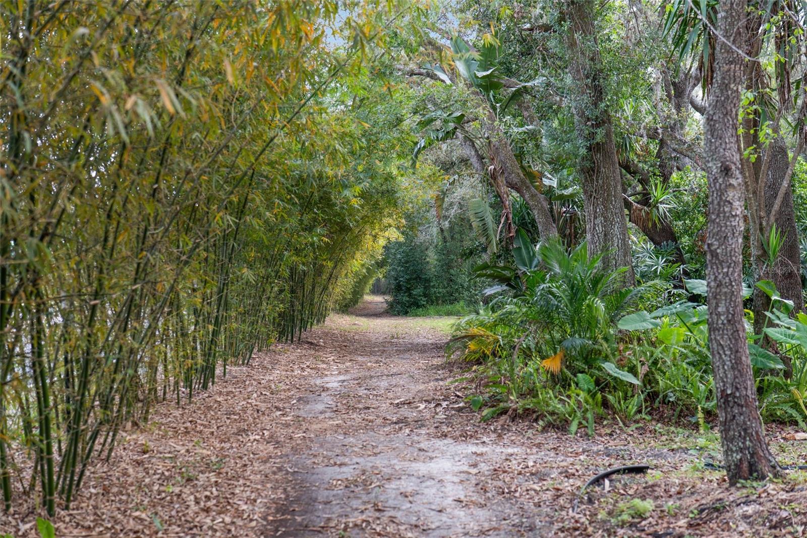 YOGI BEARS JELLYSTONE PARK CONDO - Residential