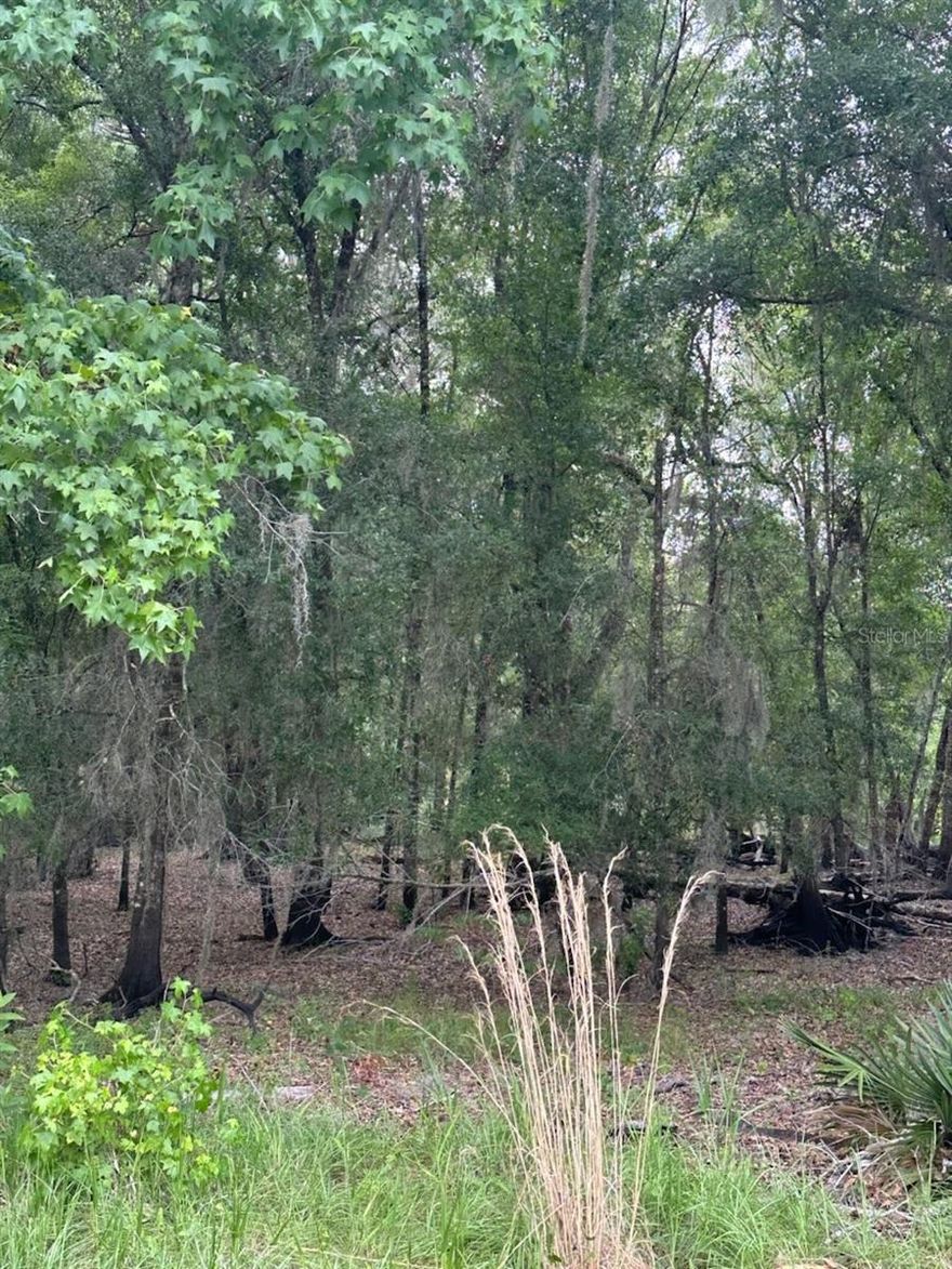 Spacious 5.59-acre vacant residential lot in desirable Pasco County! This parcel offers over 243,000 sq. ft. of vacant wooded land—perfect for building your dream estate or holding as a long-term investment. Conveniently located near area amenities yet tucked away enough for privacy and tranquility. Quiet neighborhood with established long time owners who take great care in their properties. No existing structures means a blank canvas for your vision. Don’t miss this chance to own over 5 acres in a growing area with strong long-term potential! Owner will finance with 50% Down Payment.