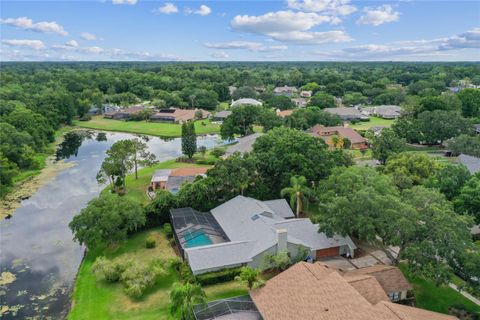 A home in TAMPA