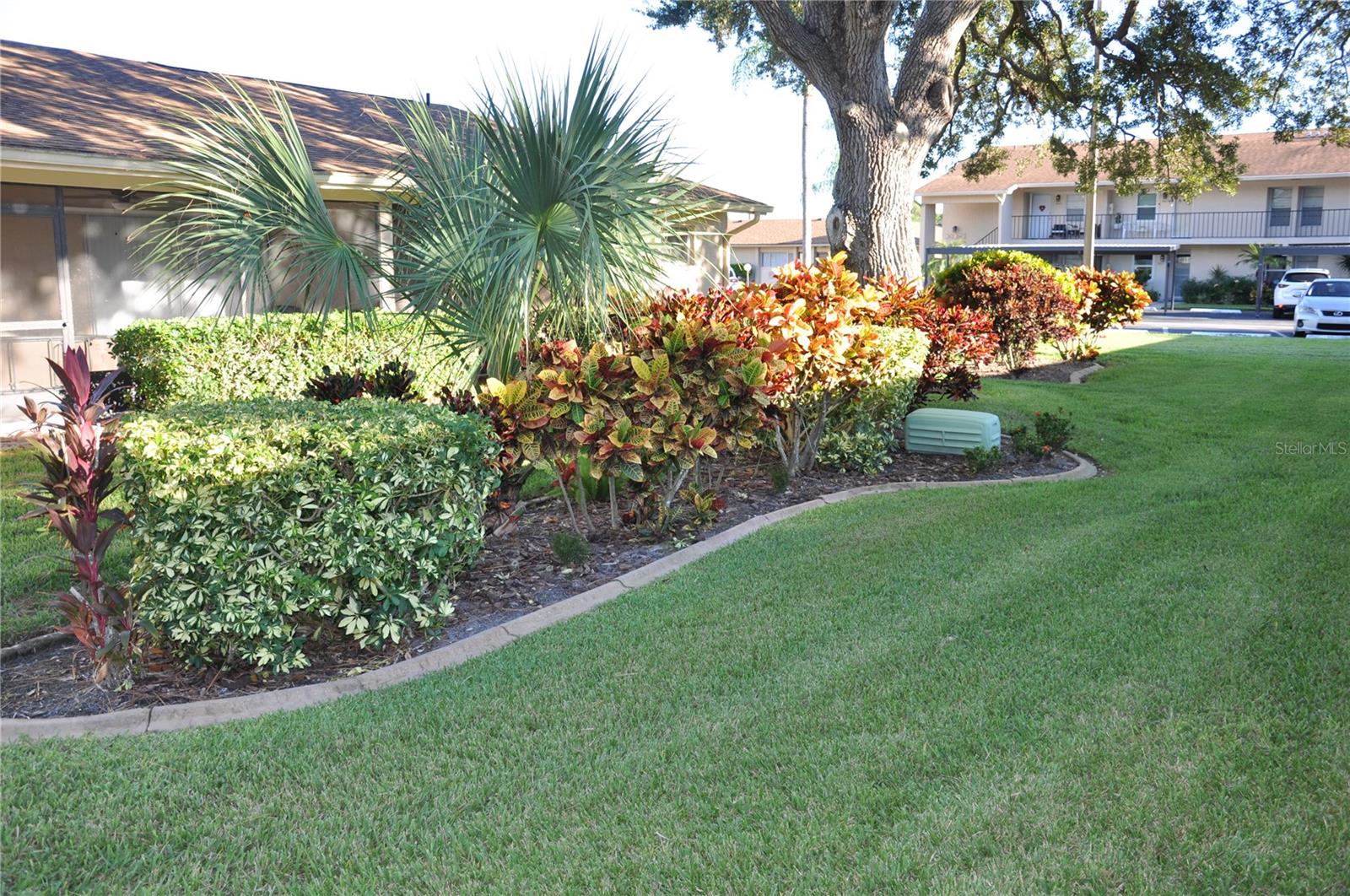 PINEWOOD VILLAGE VI - Residential