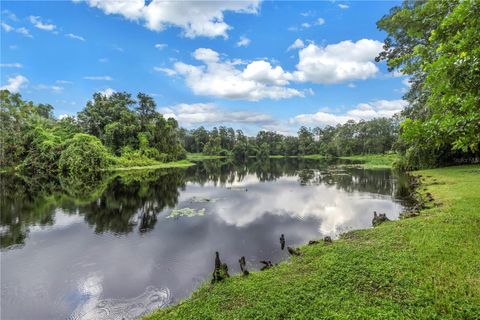 A home in TAMPA