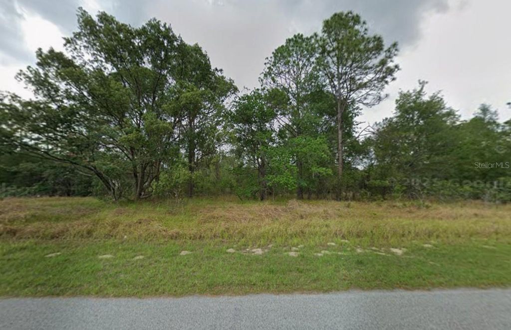 Photo of 817 W Smallman Place, Citrus Springs, FL 34434 (MLS # A4686205)